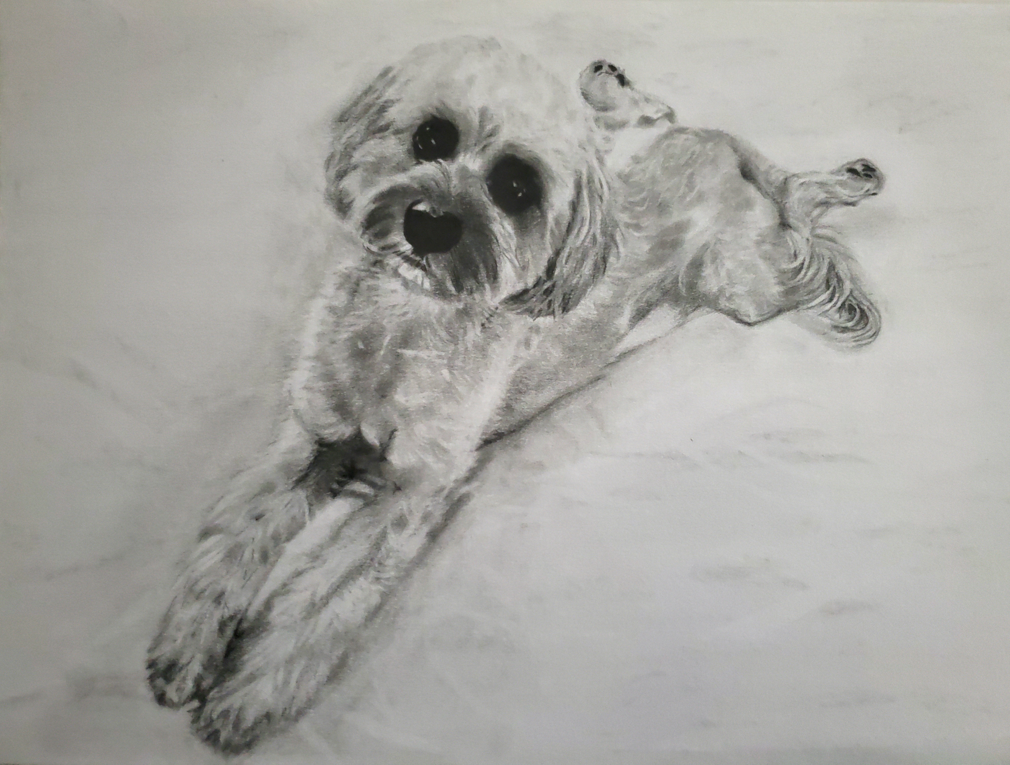 Graphite Portrait Example